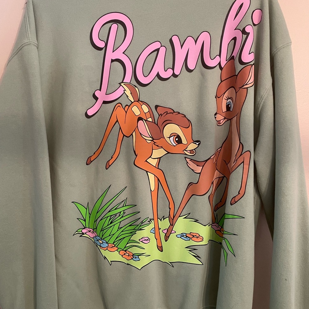 Disney Sage Green Sweatshirt